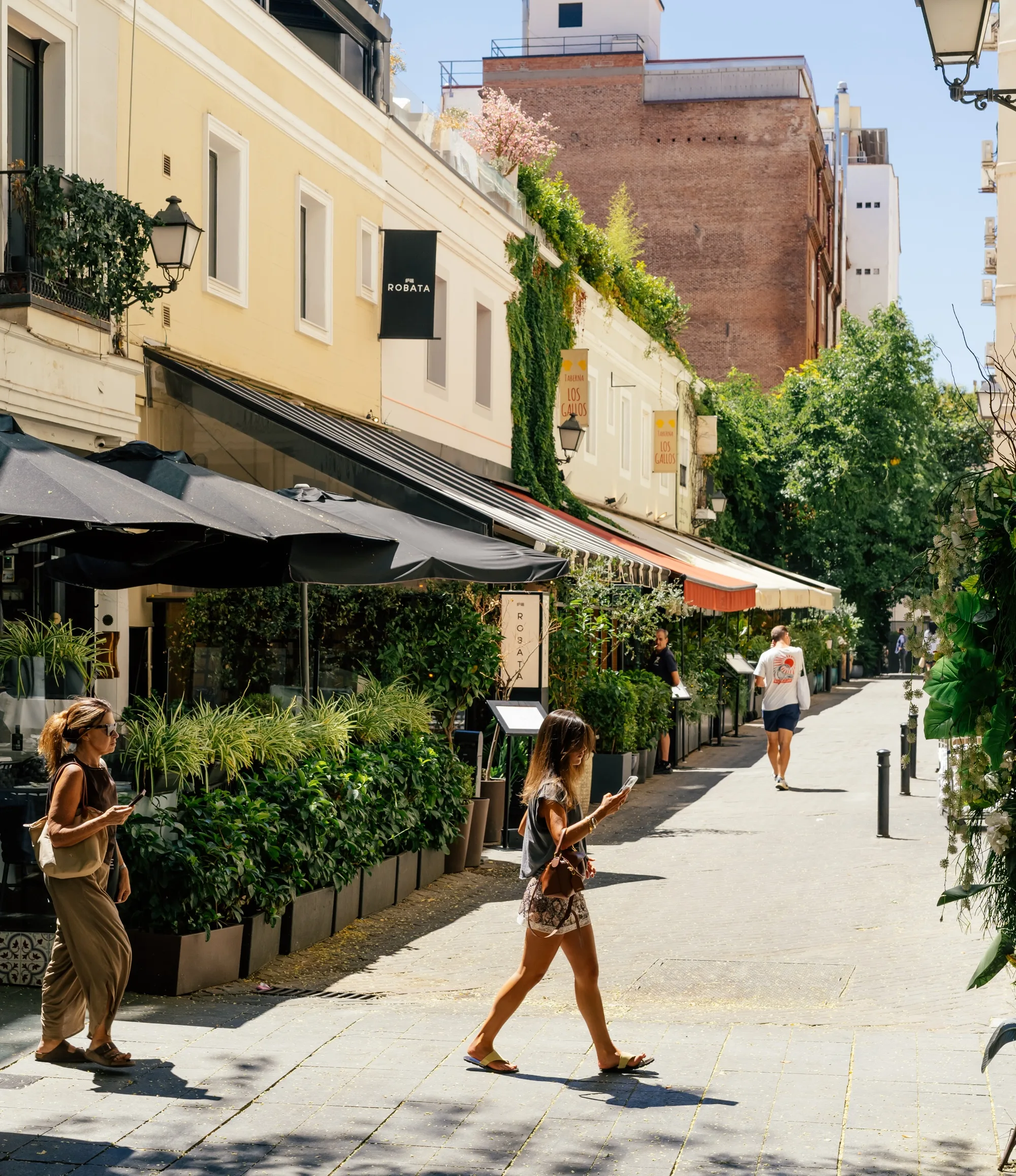 The golden-hour terrace of a restaurant on a Salamanca corner